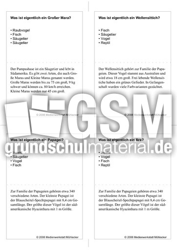 Quiz-Karten-Tiernamen 67.pdf